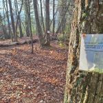 Appalachian trail campsite