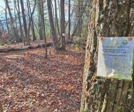 Appalachian trail campsite