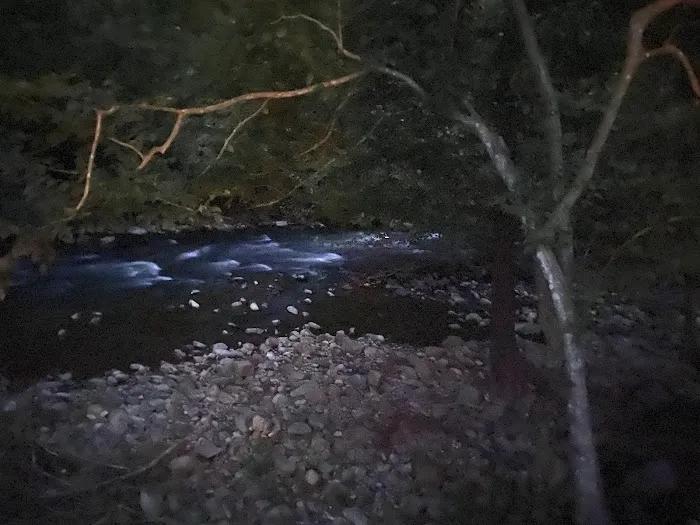 Laurel Creek RV Park Picture 5