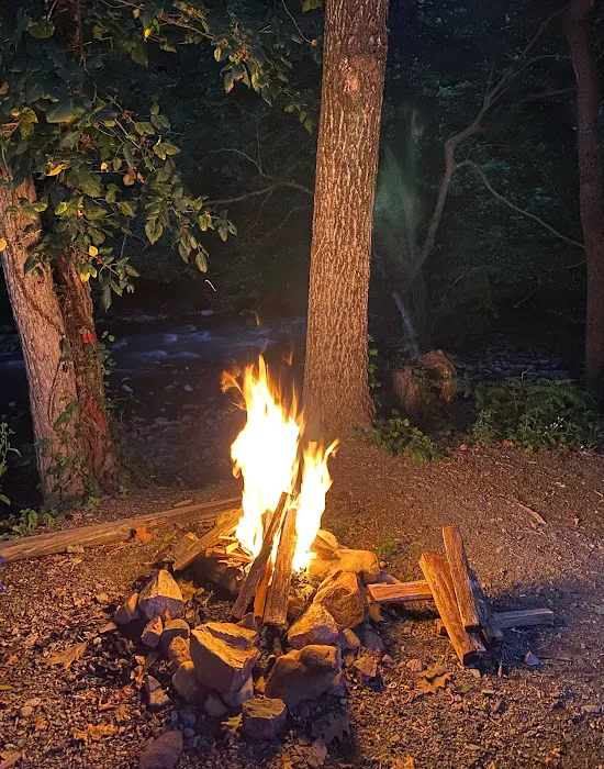 Laurel Creek RV Park Picture 9