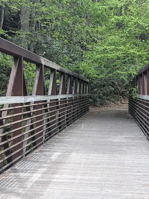 Laurel Creek RV Park Picture 8