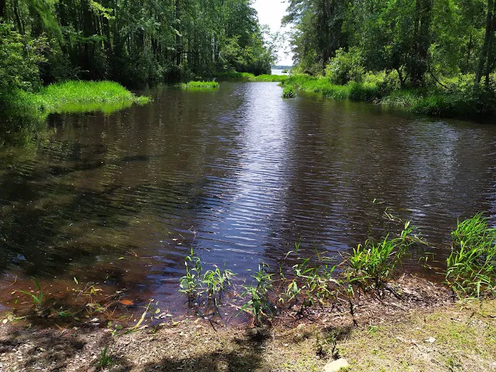 Singletary Lake Group Camp Picture 7