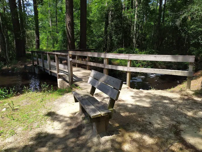 Singletary Lake Group Camp Picture 6