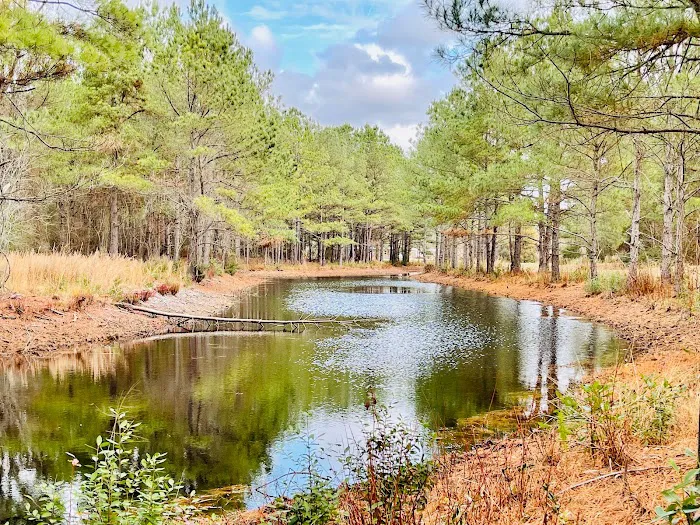Sandy Ridge Campground & RV Resort Picture 4