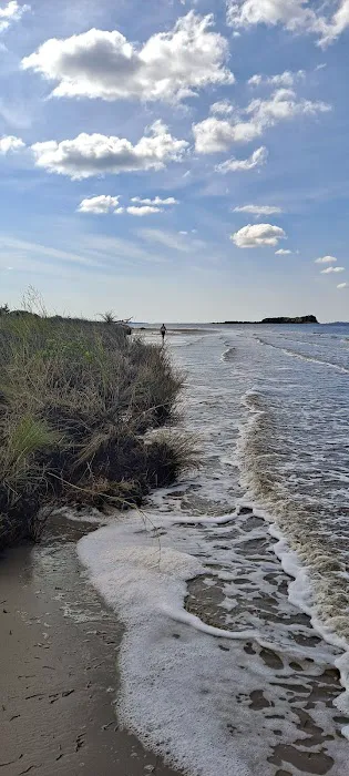 Adventure Island Picture 6