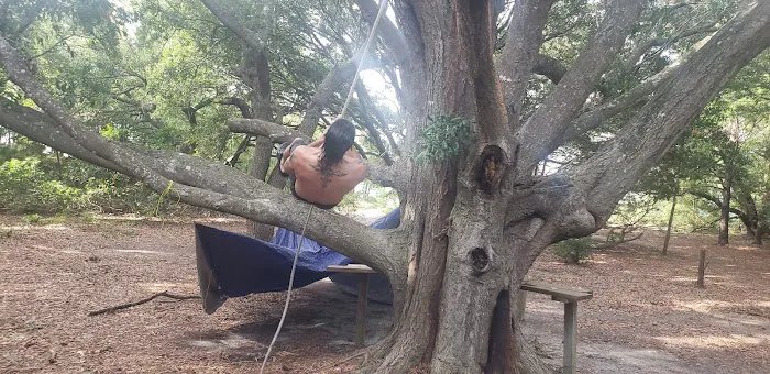 Adventure Island Picture 10