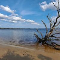 Adventure Island ico