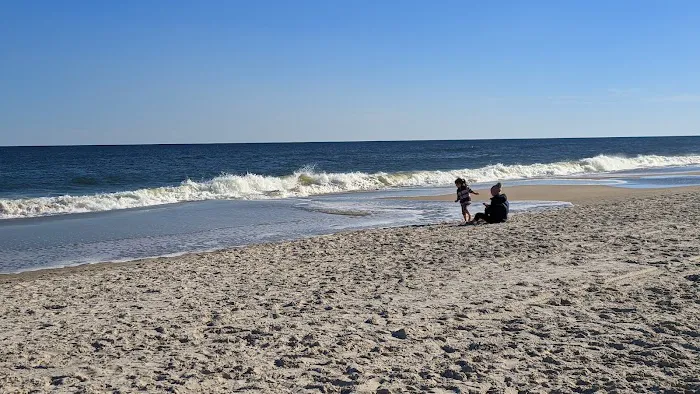 Carolina Beach State Park Campground Picture 7
