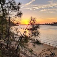 Carolina Beach State Park Campground ico