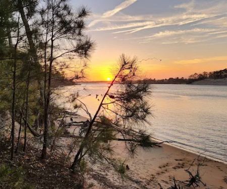 Carolina Beach State Park Campground