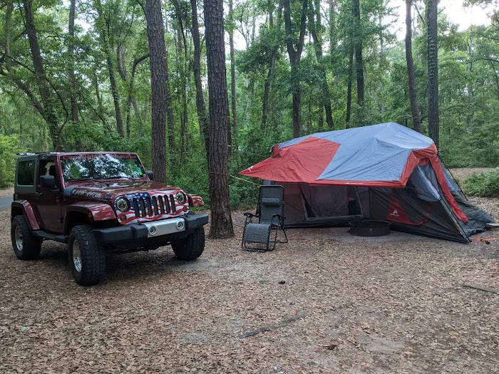 Carolina Beach State Park Campground Picture 3