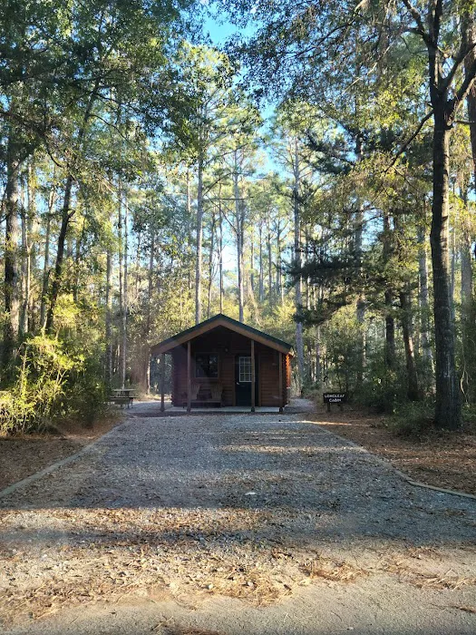 Carolina Beach State Park Campground Picture 8
