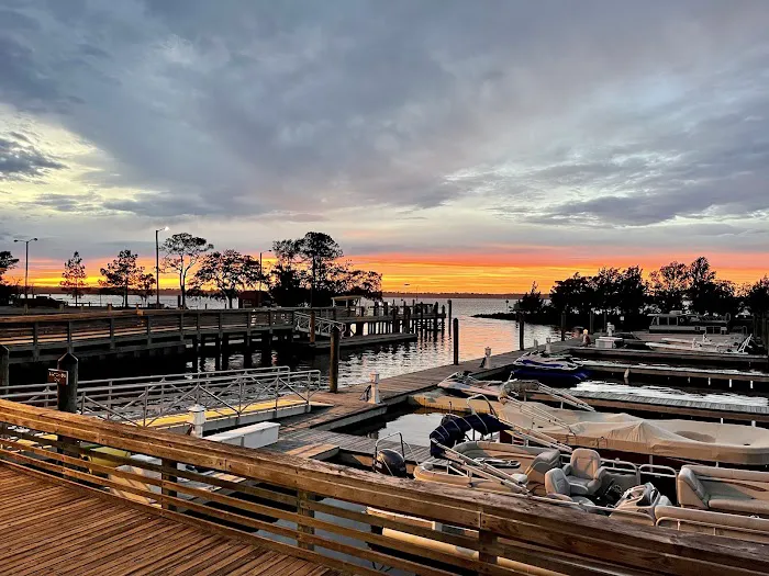 Carolina Beach State Park Campground Picture 2