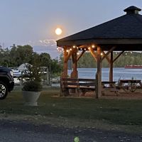 River Raisin Marina & Campground ico