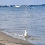 William C. Sterling State Park Campgrounds