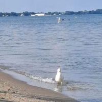 William C. Sterling State Park Campgrounds ico