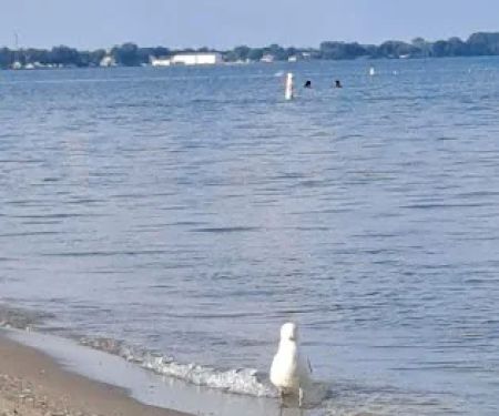 William C. Sterling State Park Campgrounds