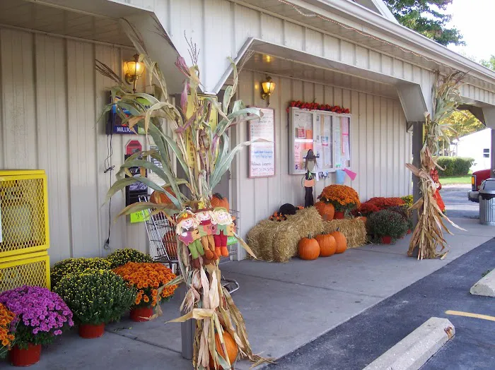 Pirolli Park Picture 8