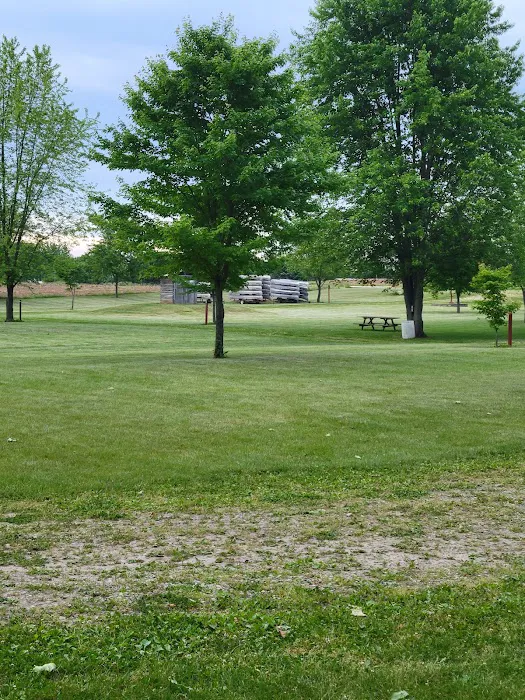 River Raisin Canoe Livery Picture 9