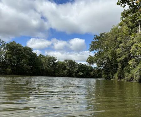 River Raisin Canoe Livery