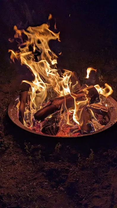River Raisin Canoe Livery Picture 2