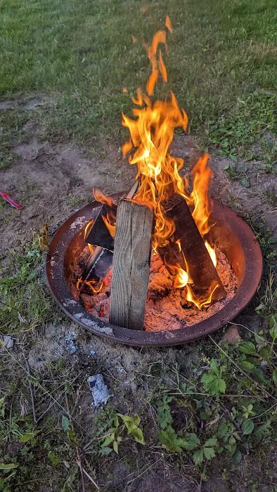 River Raisin Canoe Livery Picture 3