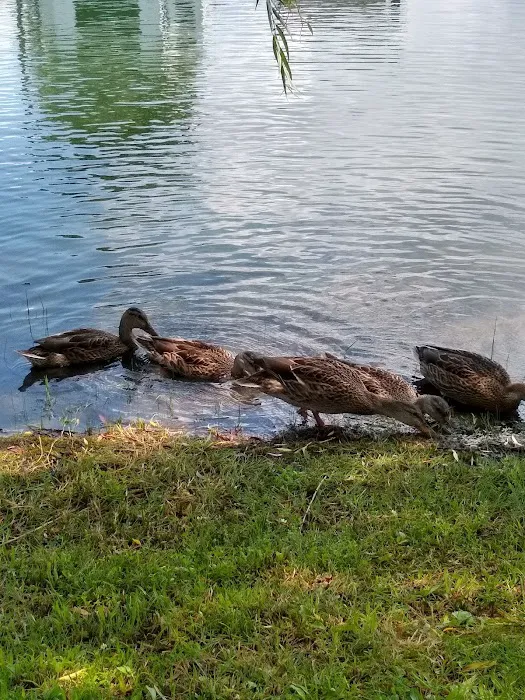 Sunny's Campgrounds Picture 4