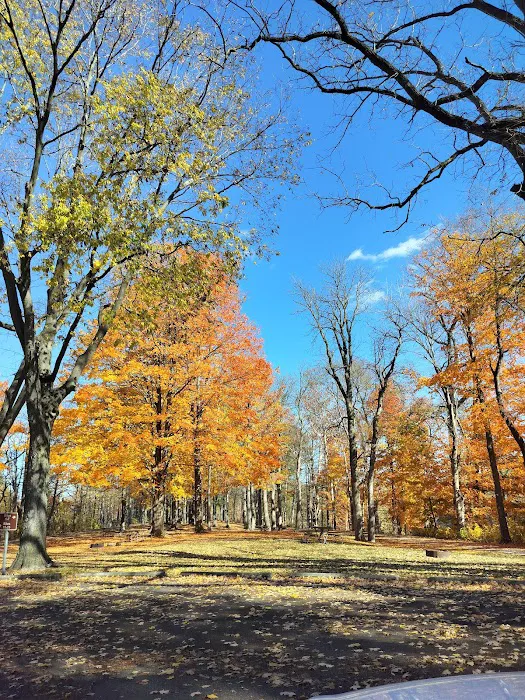 Independence Dam State Park Campground Picture 6