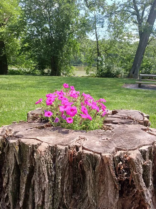 Independence Dam State Park Campground Picture 9