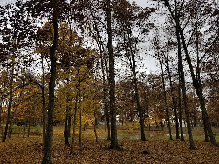 Camp Robin Rogers Picture 2