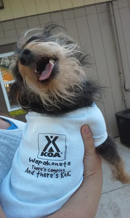 Wapakoneta KOA Holiday Picture 2