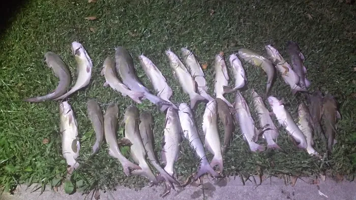 Frosty's RV Park & Campground Picture 6