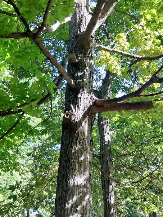 Parkside Camping Picture 8