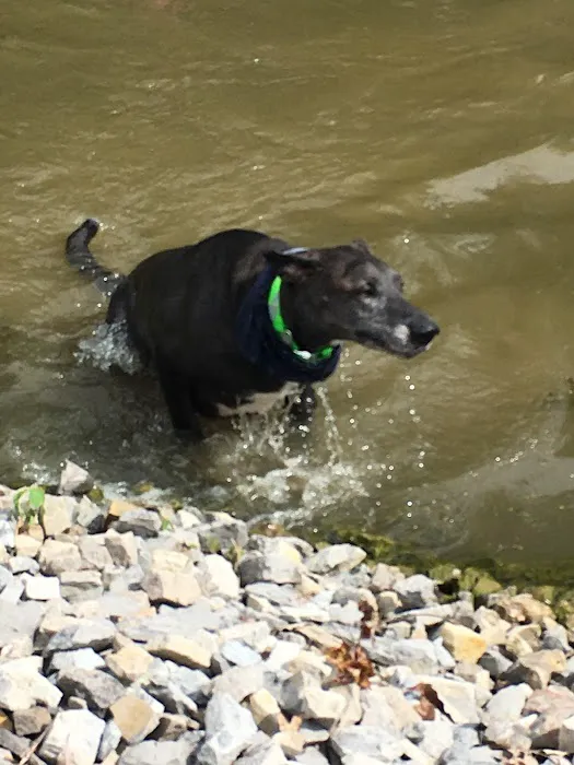 Flip Flop Cove Campground Picture 6