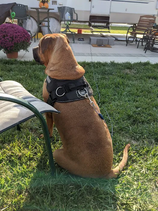 Big Bear Campground Picture 7