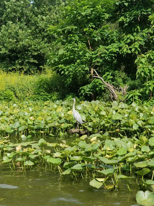 Destination Lake Life Picture 2