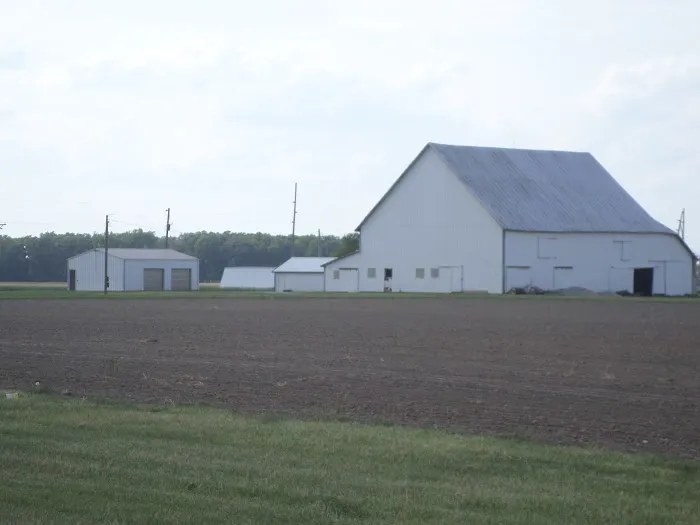 Galaxy Starlite Picture 1