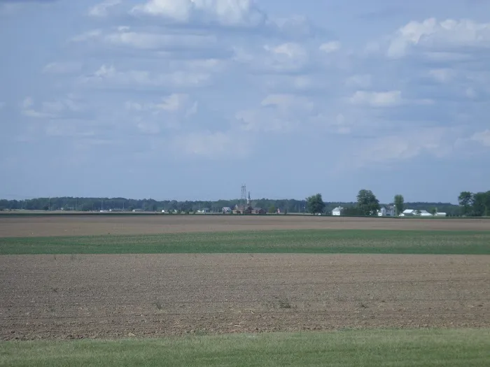 Galaxy Starlite Picture 4