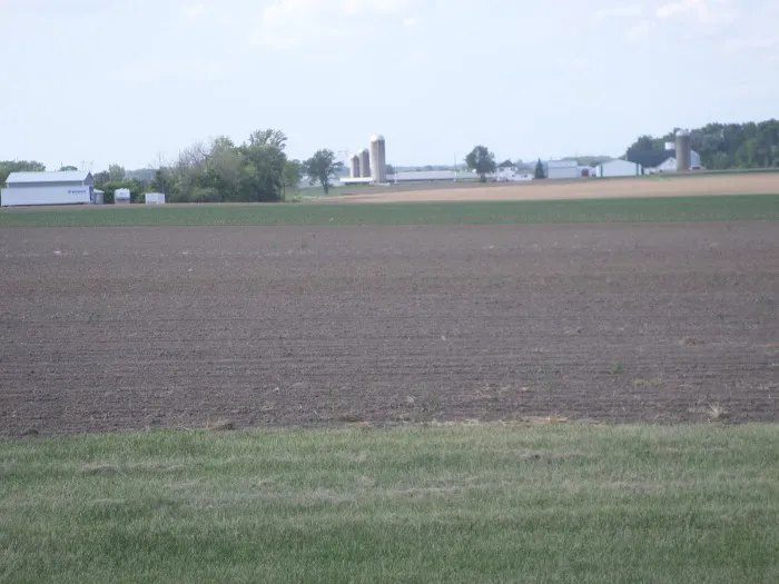 Galaxy Starlite Picture 3