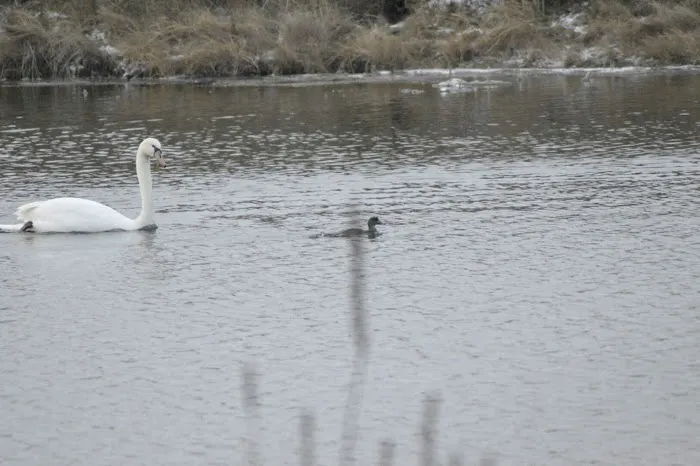 Easy Campground Picture 7