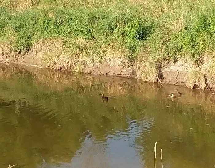 Blue Water Campground LLC Picture 5