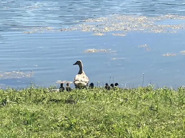 Enon Beach Recreation Park Picture 6