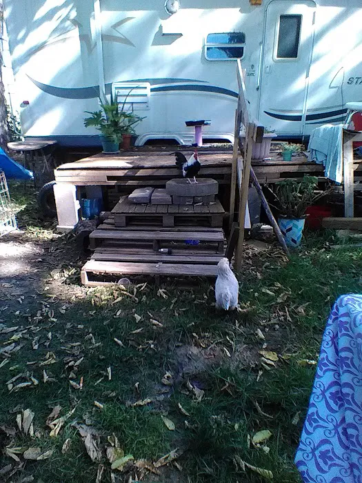 Enon Beach Recreation Park Picture 10