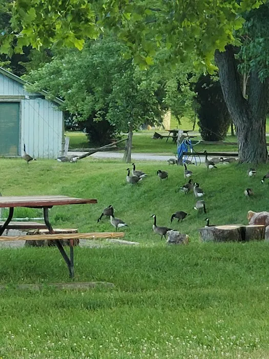 Enon Beach Recreation Park Picture 1