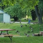 Enon Beach Recreation Park