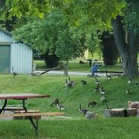 Enon Beach Recreation Park ico