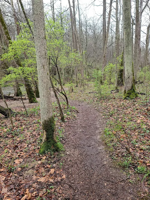 John Bryan State Park Campground Picture 6