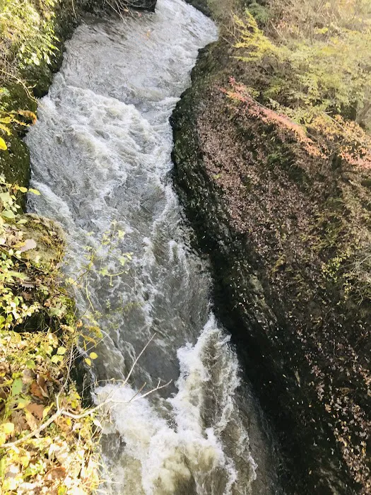 John Bryan State Park Campground Picture 8