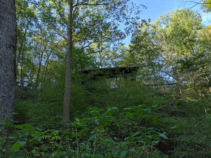 John Bryan State Park Campground Picture 7