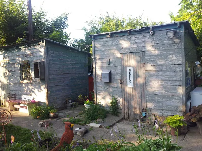 Maple Grove Camp Ground Picture 9